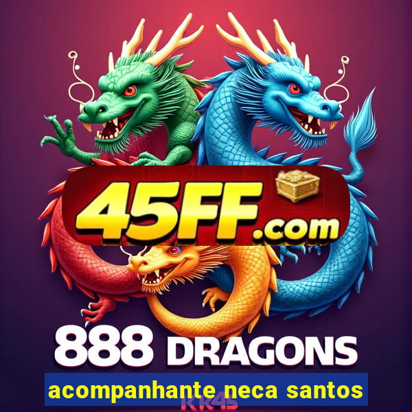 acompanhante neca santos